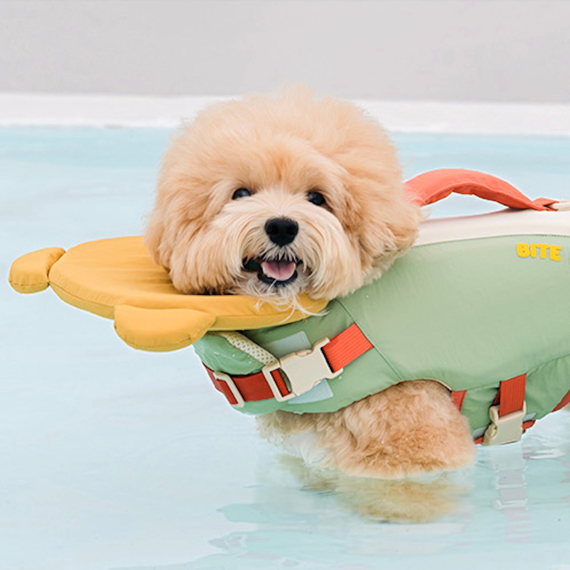 海外犬服 高品質なインポートのドッグウェア通販 