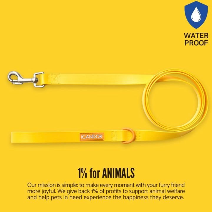 ※予約販売【iCANDOR】CAPRI WATERPROOF LEASH（Yellow）