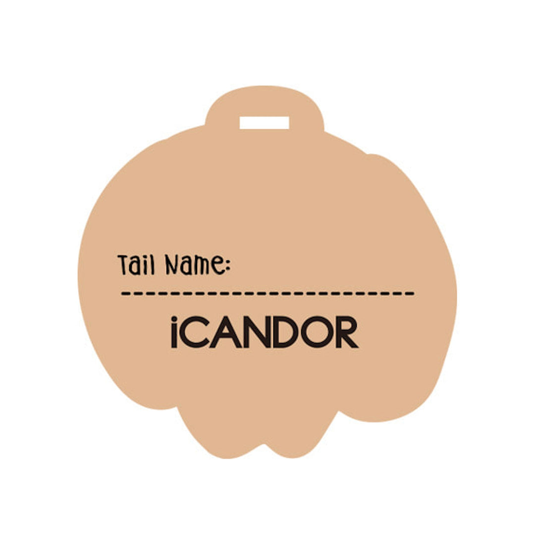 ※予約販売【iCANDOR】CANDOR TAG