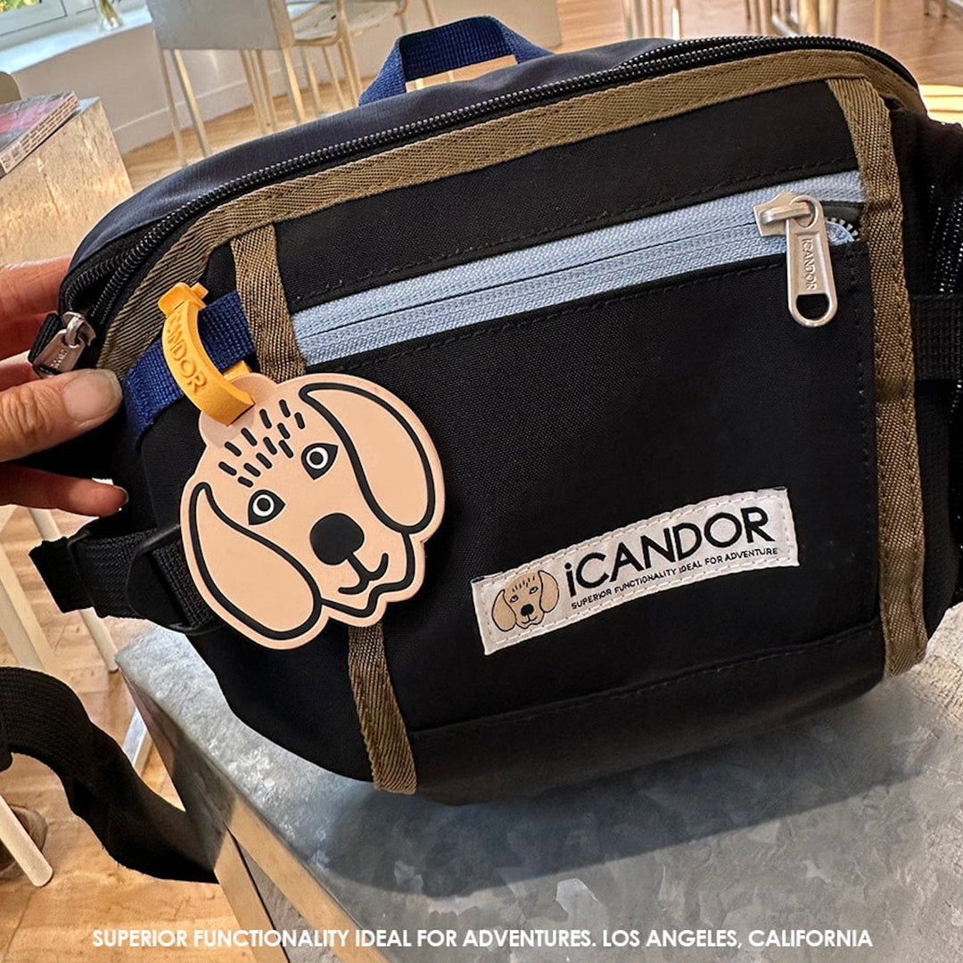 ※予約販売【iCANDOR】CANDOR TAG