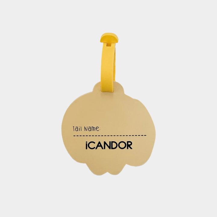 ※予約販売【iCANDOR】CANDOR TAG