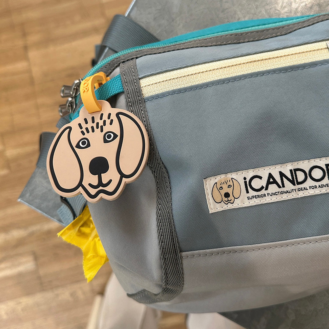 ※予約販売【iCANDOR】CANDOR TAG