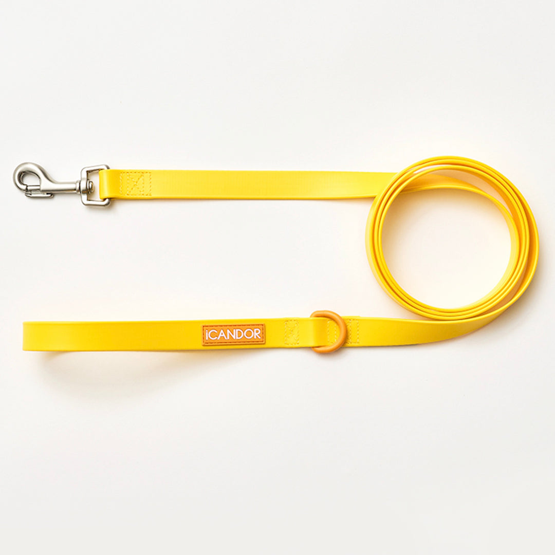 ※予約販売【iCANDOR】CAPRI WATERPROOF LEASH（Yellow）
