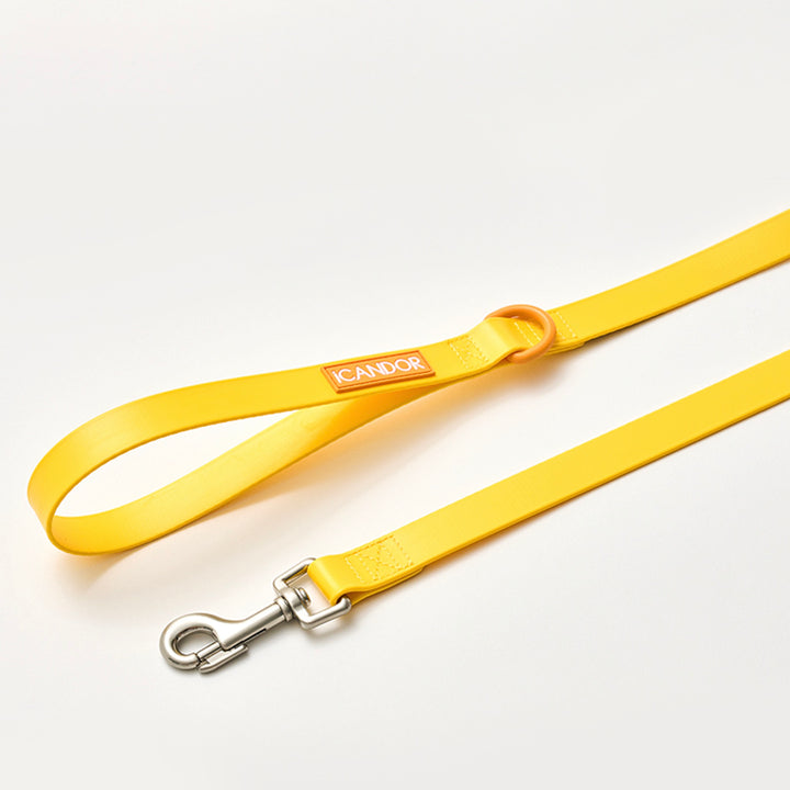※予約販売【iCANDOR】CAPRI WATERPROOF LEASH（Yellow）