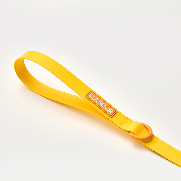 ※予約販売【iCANDOR】CAPRI WATERPROOF LEASH（Yellow）