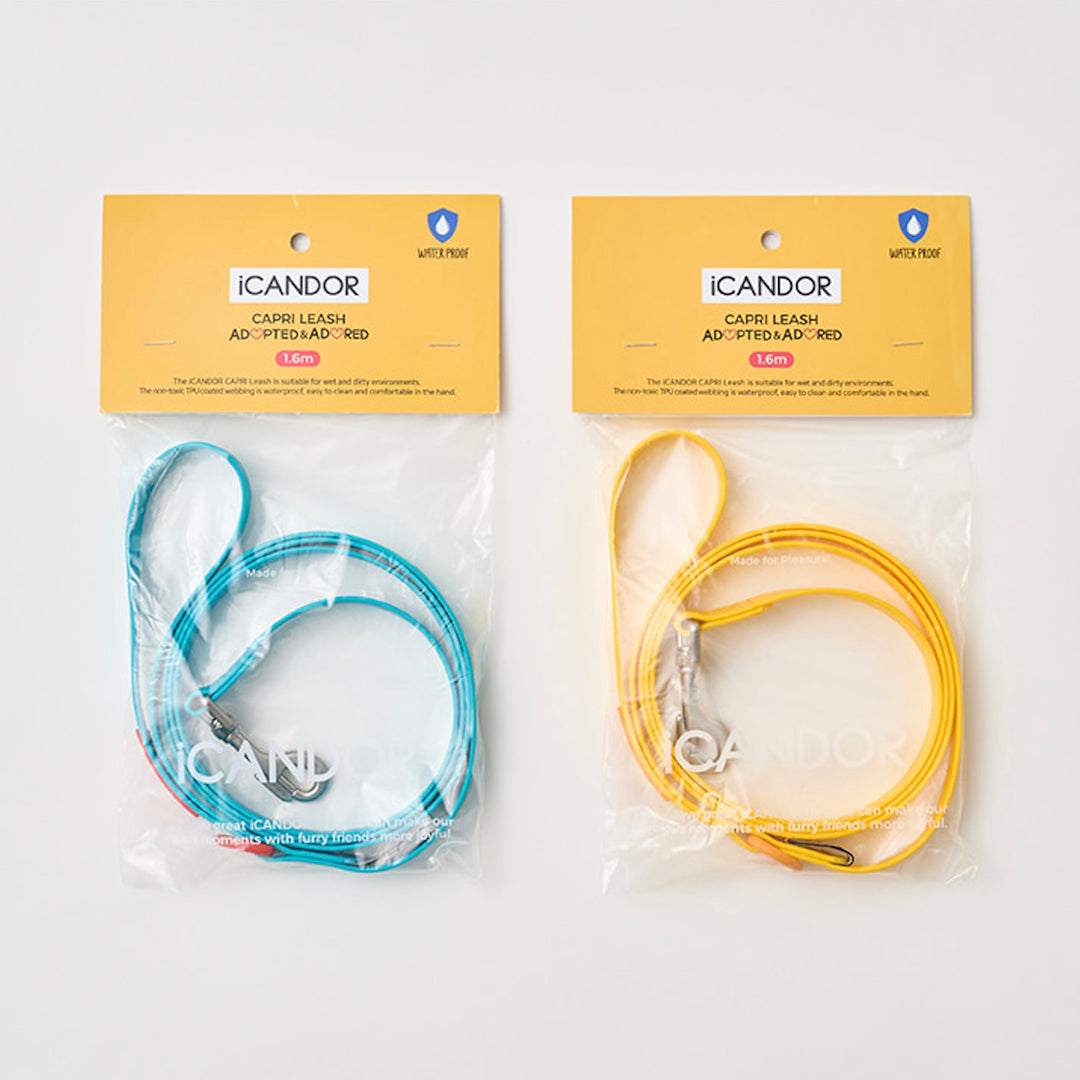 ※予約販売【iCANDOR】CAPRI WATERPROOF LEASH（Yellow）