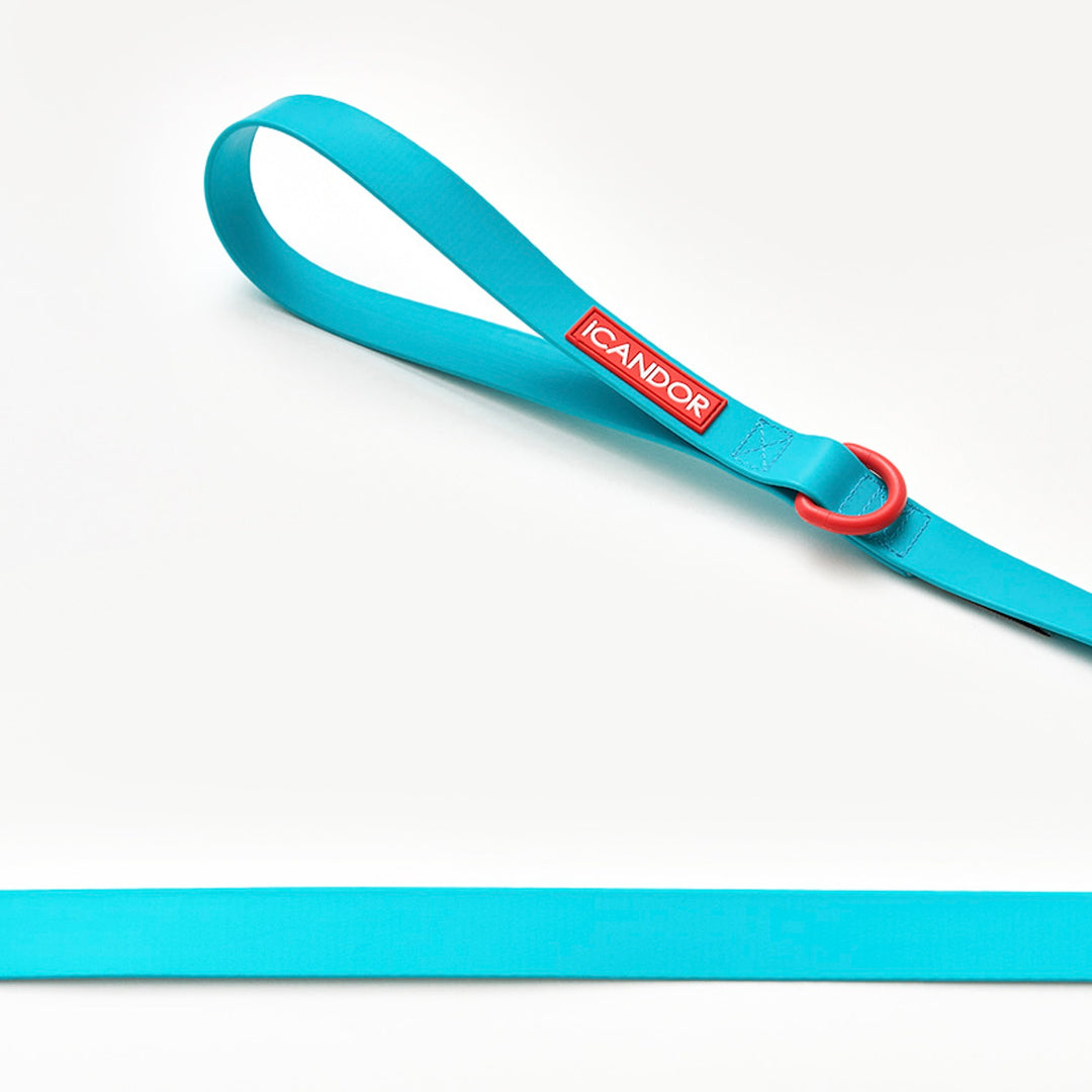 ※予約販売【iCANDOR】CAPRI WATERPROOF LEASH（Mint）