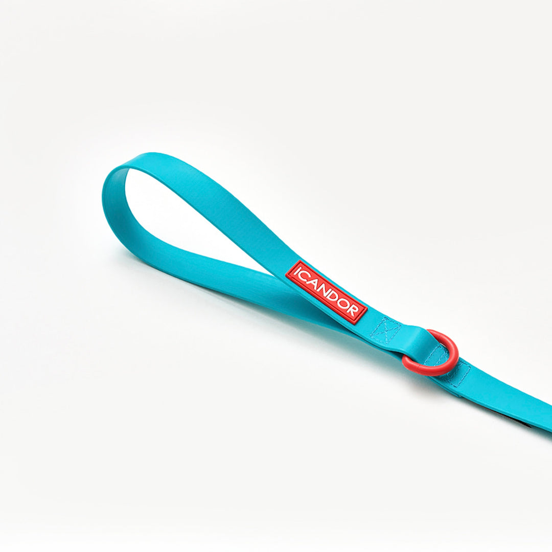 ※予約販売【iCANDOR】CAPRI WATERPROOF LEASH（Mint）
