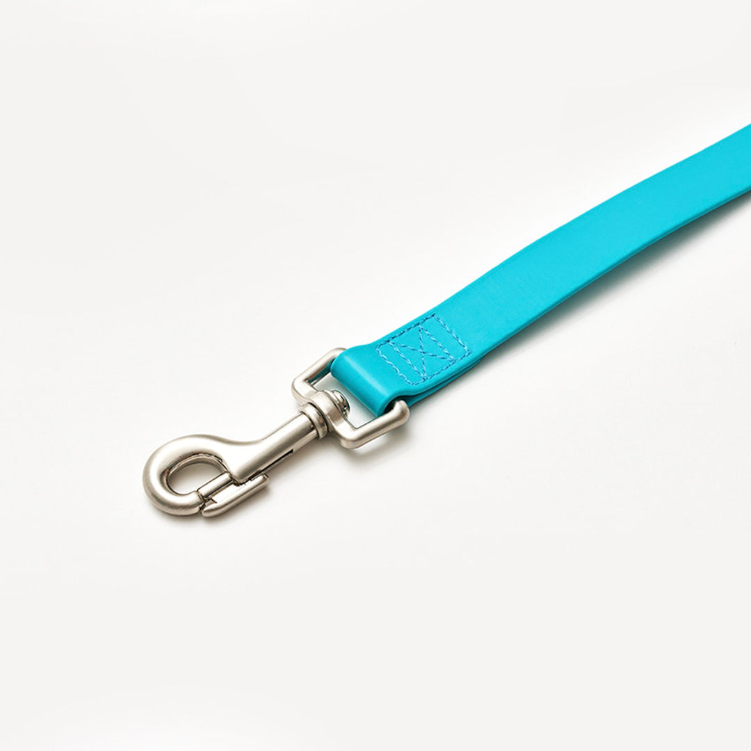 ※予約販売【iCANDOR】CAPRI WATERPROOF LEASH（Mint）