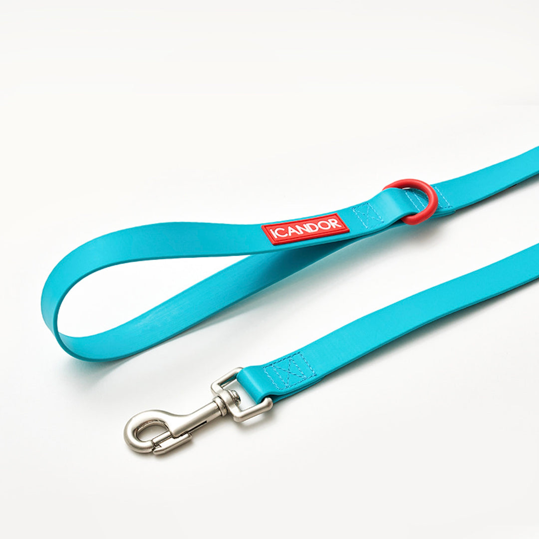※予約販売【iCANDOR】CAPRI WATERPROOF LEASH（Mint）