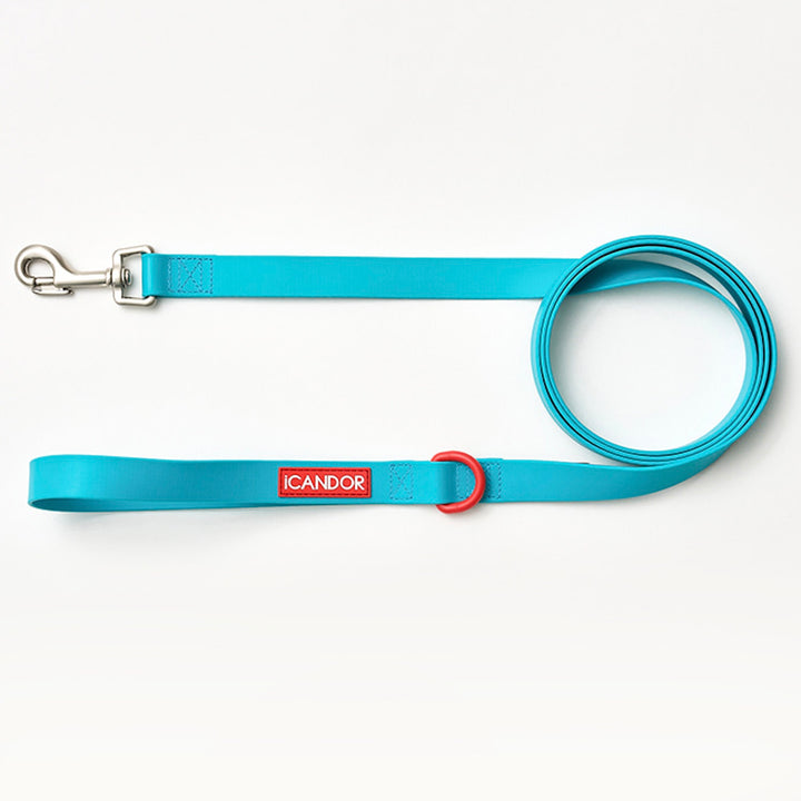 ※予約販売【iCANDOR】CAPRI WATERPROOF LEASH（Mint）