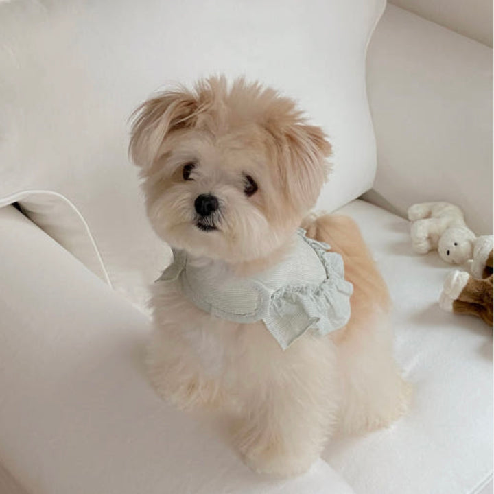 即納【OUNCE】Air Frill Harness（Mint Stripe）｜犬用ハーネス