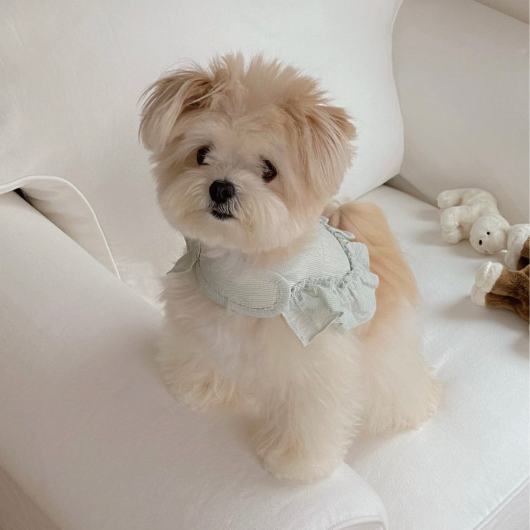 即納【OUNCE】Air Frill Harness（Mint Stripe）｜犬用ハーネス