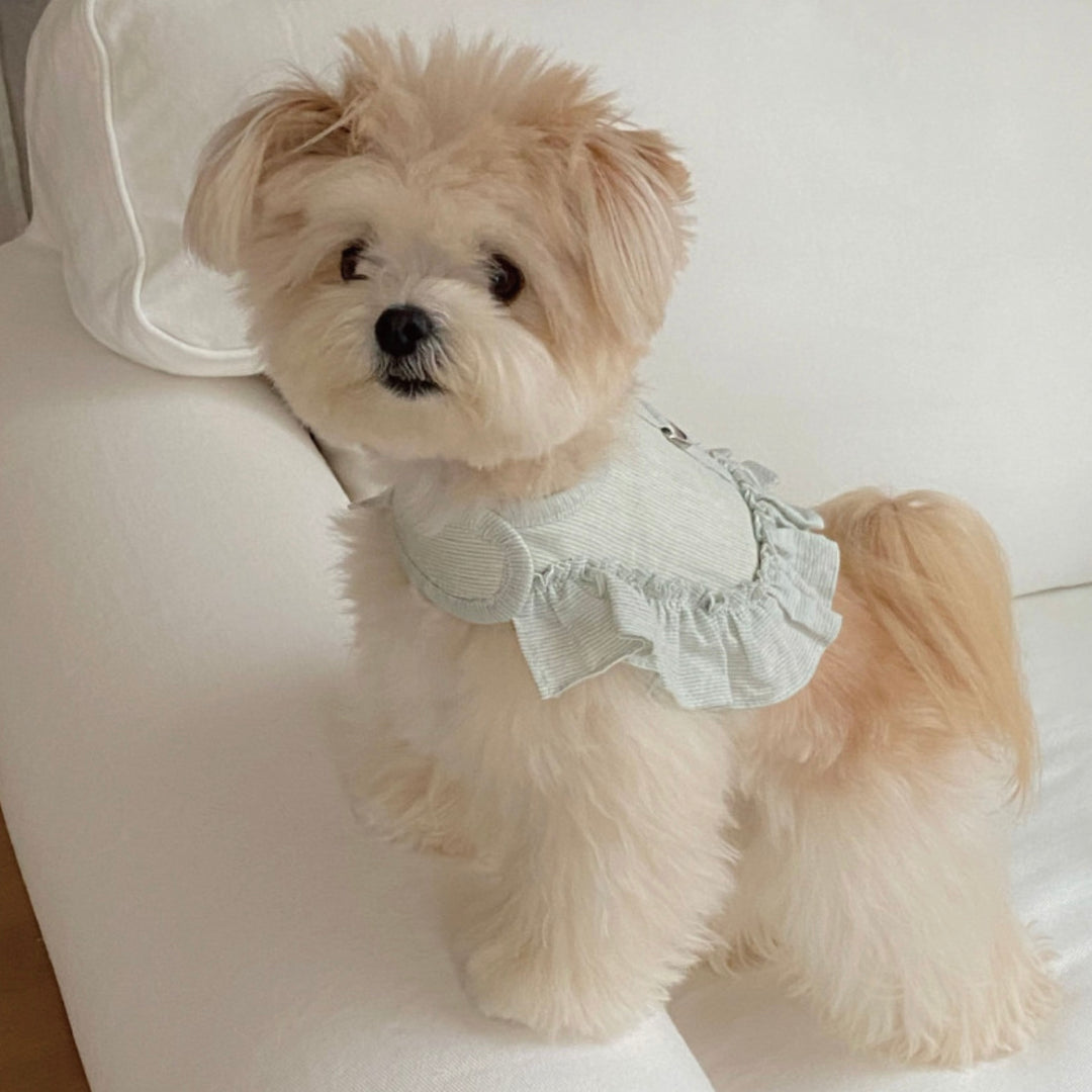 即納【OUNCE】Air Frill Harness（Mint Stripe）｜犬用ハーネス