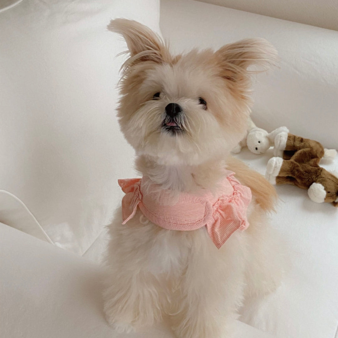 即納【OUNCE】Air Frill Harness（Coral Stripe）｜犬用ハーネス
