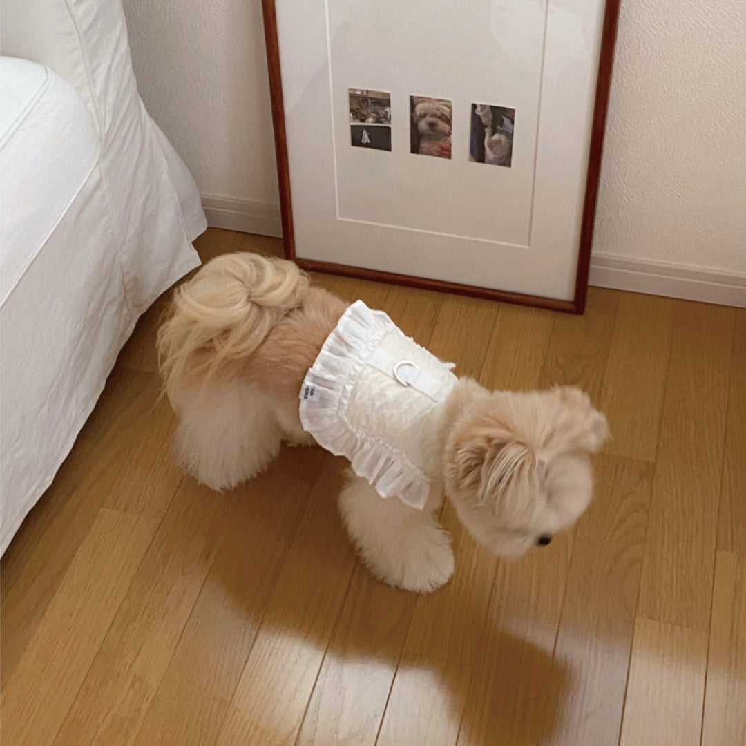 即納【OUNCE】Air Frill Harness（White）｜犬用ハーネス