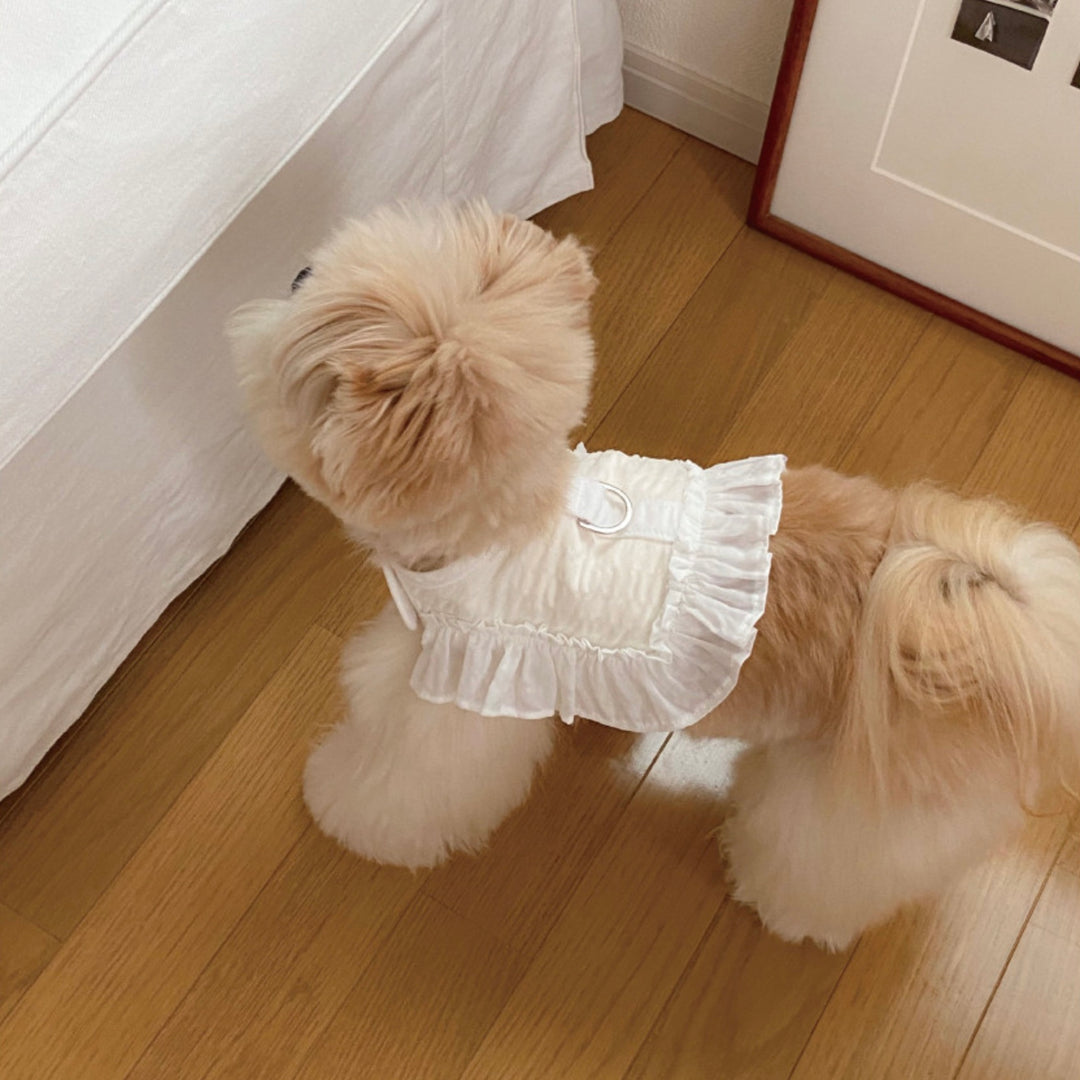 即納【OUNCE】Air Frill Harness（White）｜犬用ハーネス