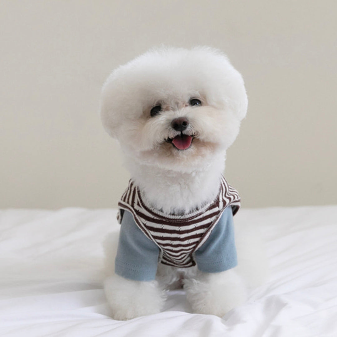 ※予約販売【ssfw】Cozy Bib Set Up 3colors（Blue Brown）