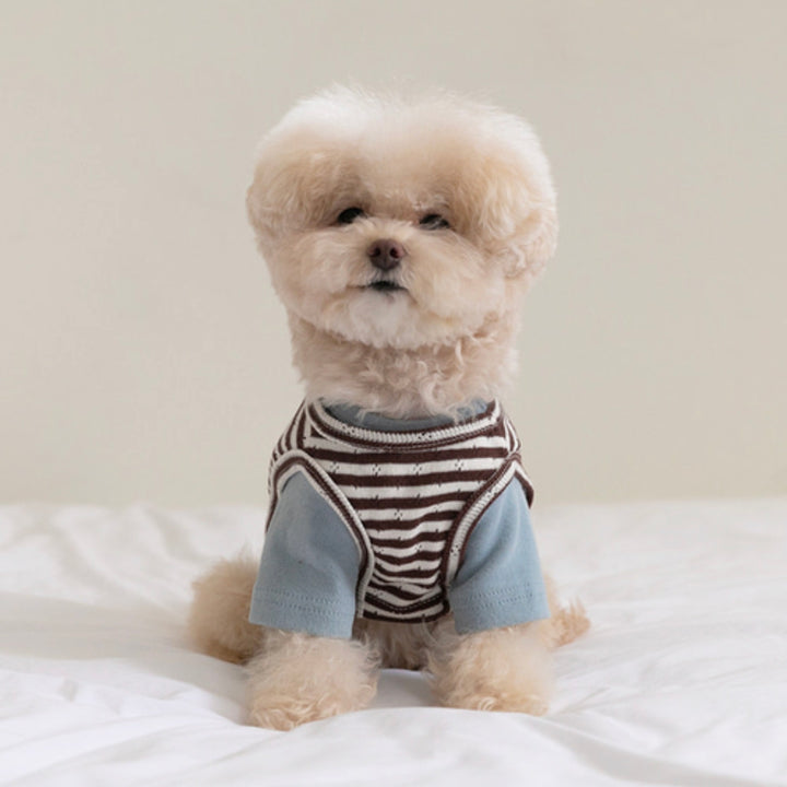 ※予約販売【ssfw】Cozy Bib Set Up 3colors（Blue Brown）