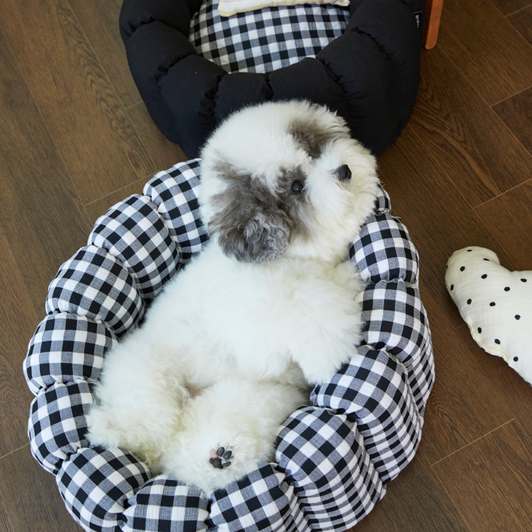 即納【azallea】Check Black Canele Cushion