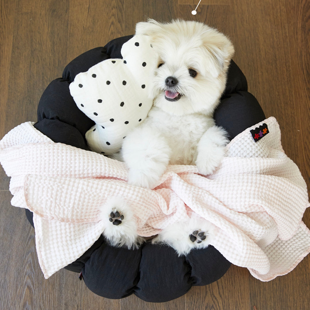 即納【azallea】Check Black Canele Cushion