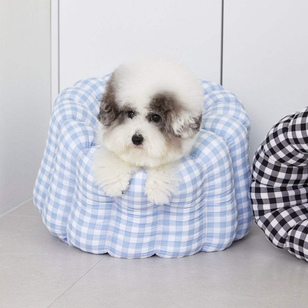 即納【azallea】Check Blue Canele Cushion