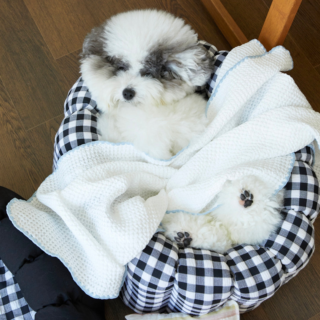 ※予約販売【azallea】Soft Waffle Blanket