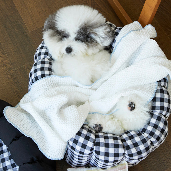 ※予約販売【azallea】Soft Waffle Blanket