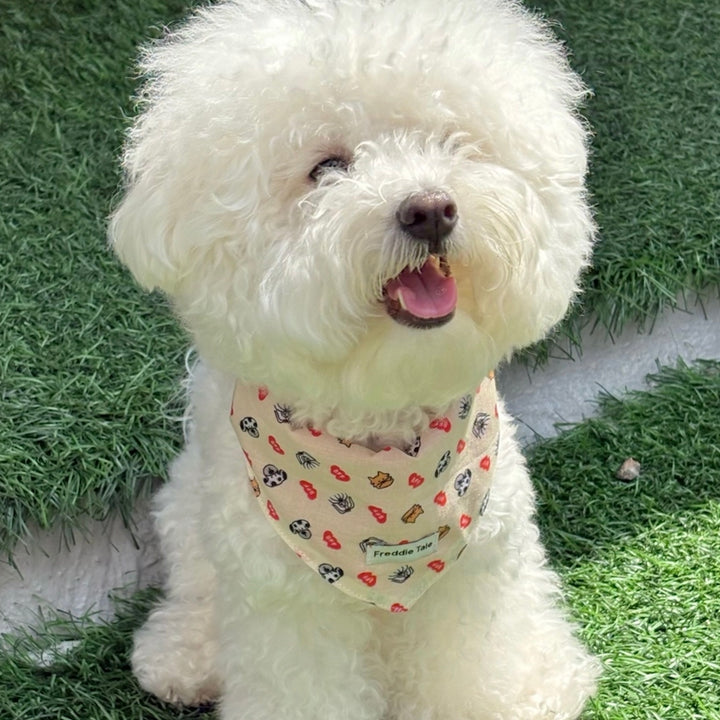 ※予約販売【FREDDIE TALE】BFF bandana