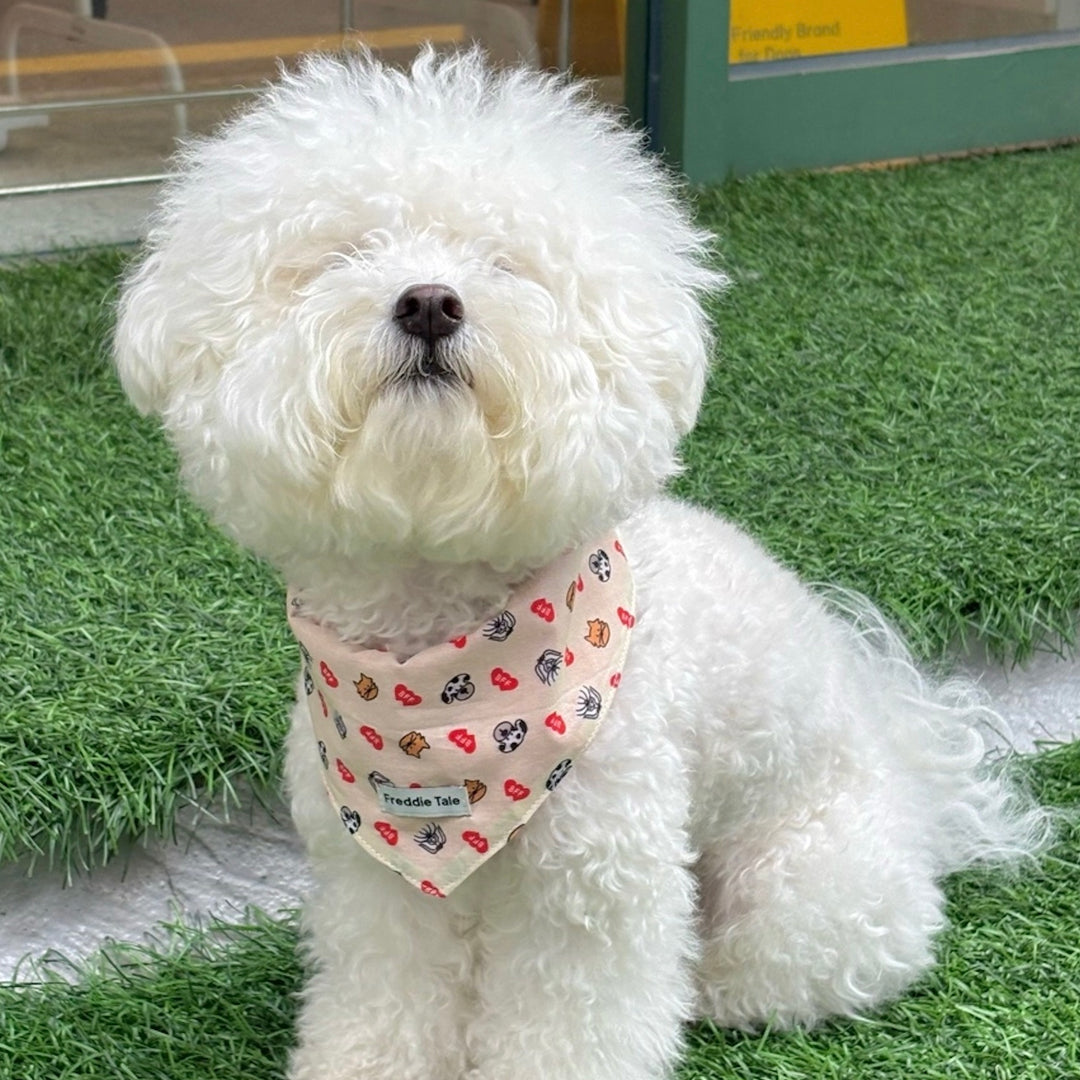 ※予約販売【FREDDIE TALE】BFF bandana