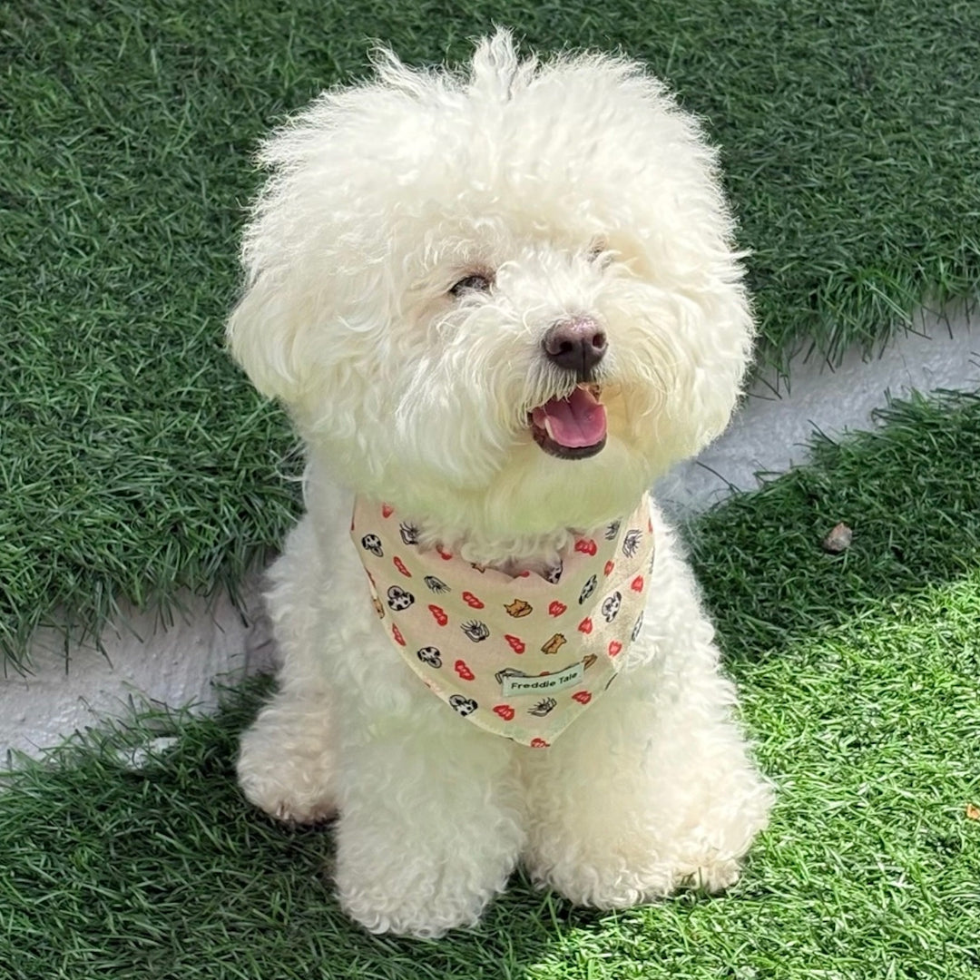 ※予約販売【FREDDIE TALE】BFF bandana