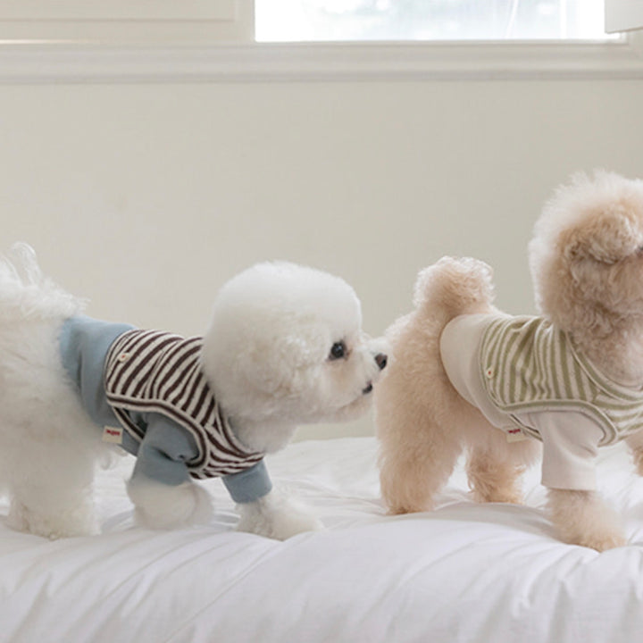 ※予約販売【ssfw】Cozy Bib Set Up 3colors（Blue Brown）