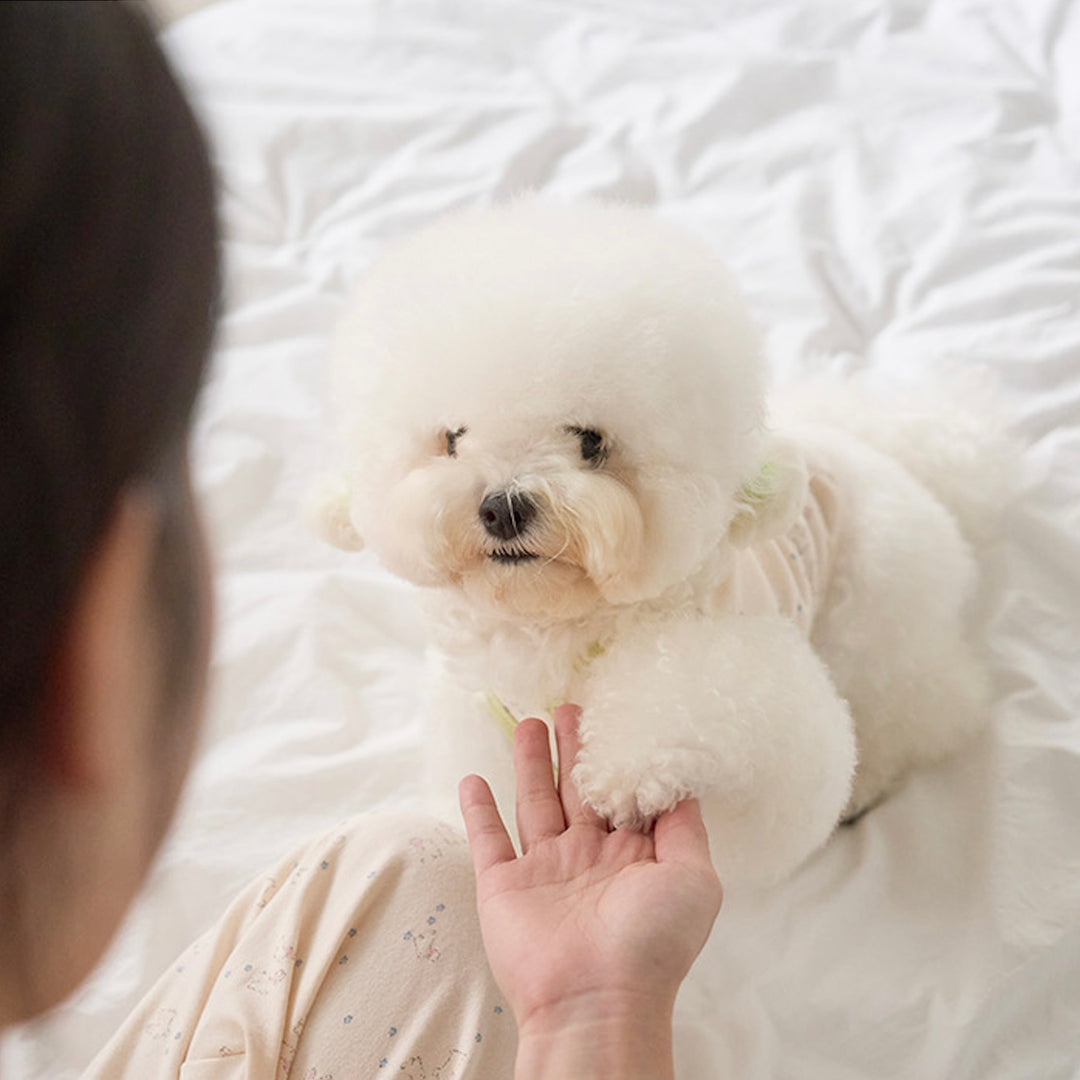 即納【noutti】Good Night Rabbit Sleeveless（Ivory）