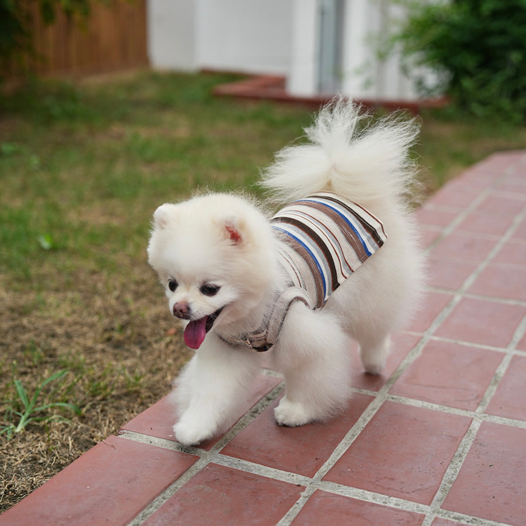 即納【noutti】Matilda Cardigan Sleeveless（Brown）