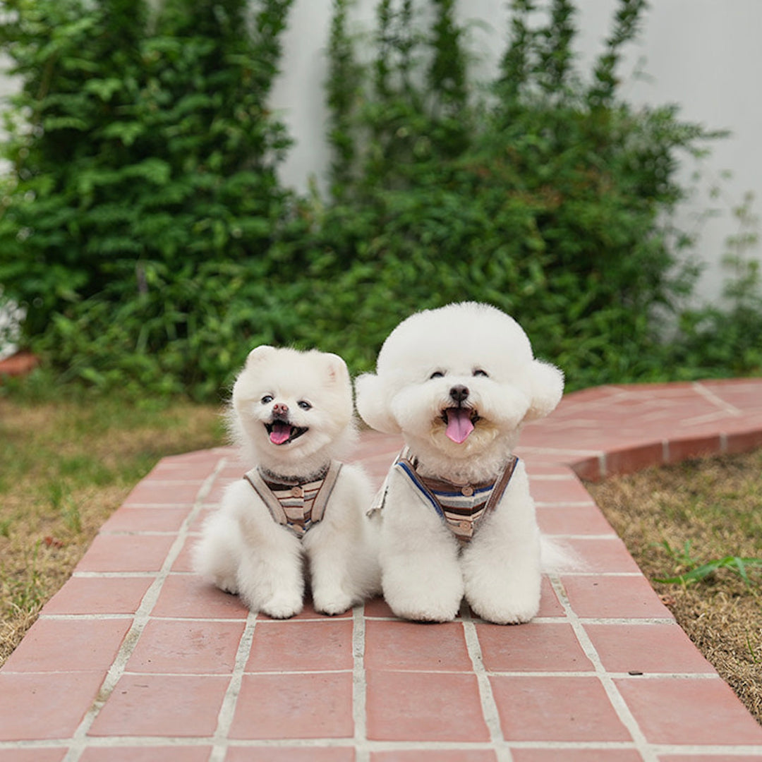 即納【noutti】Matilda Cardigan Sleeveless（Brown）