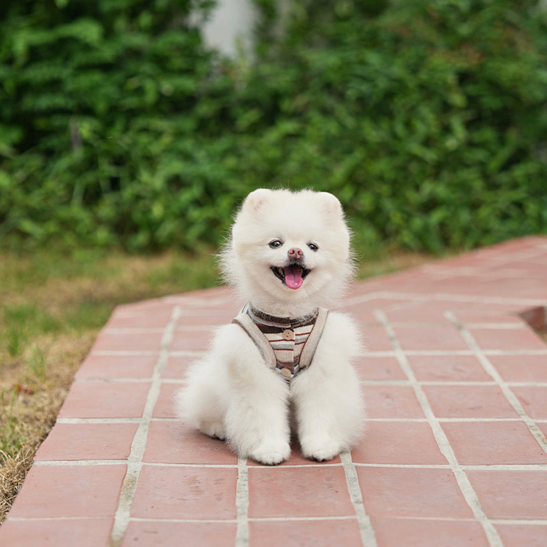 即納【noutti】Matilda Cardigan Sleeveless（Brown）