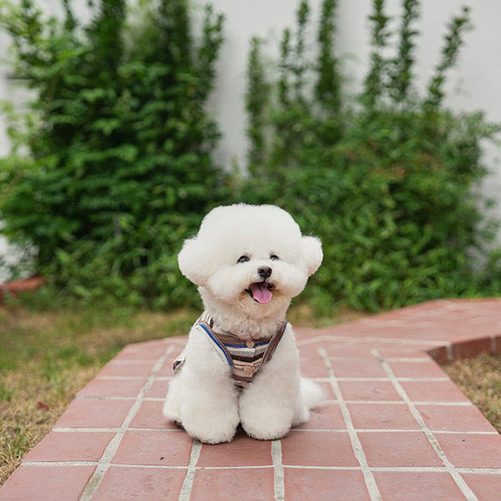 即納【noutti】Matilda Cardigan Sleeveless（Brown）