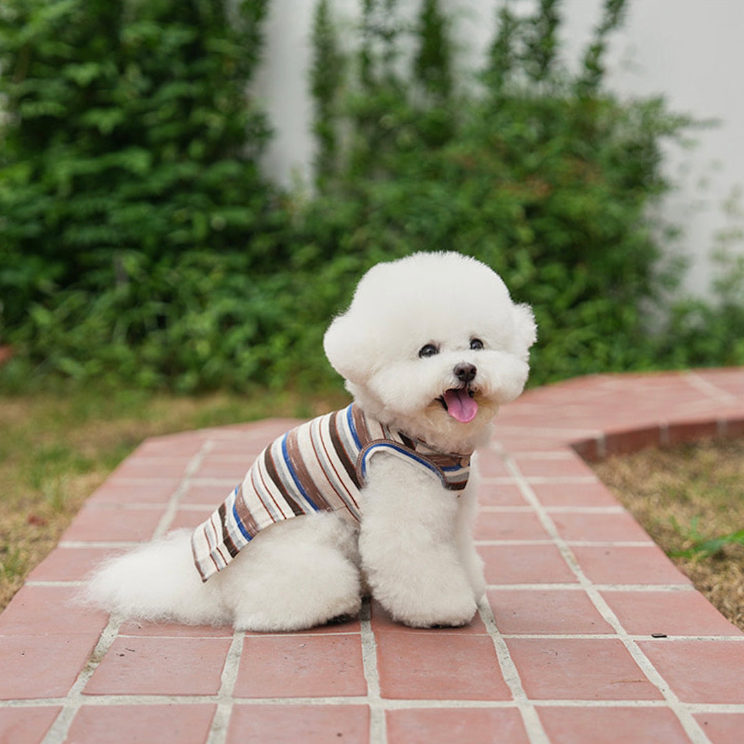 即納【noutti】Matilda Cardigan Sleeveless（Brown）