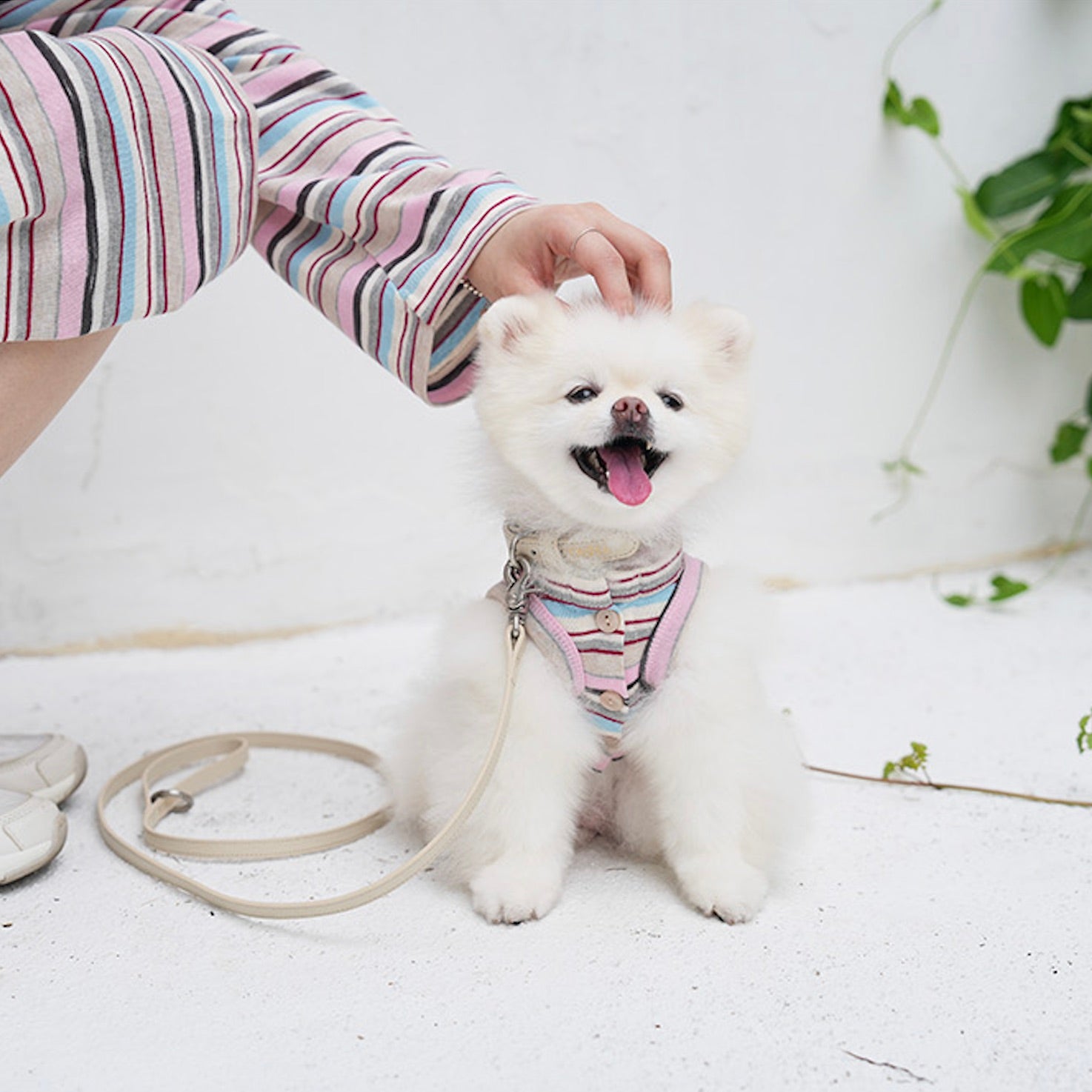 日本独占販売ブランド – URBAN DOG TOKYO