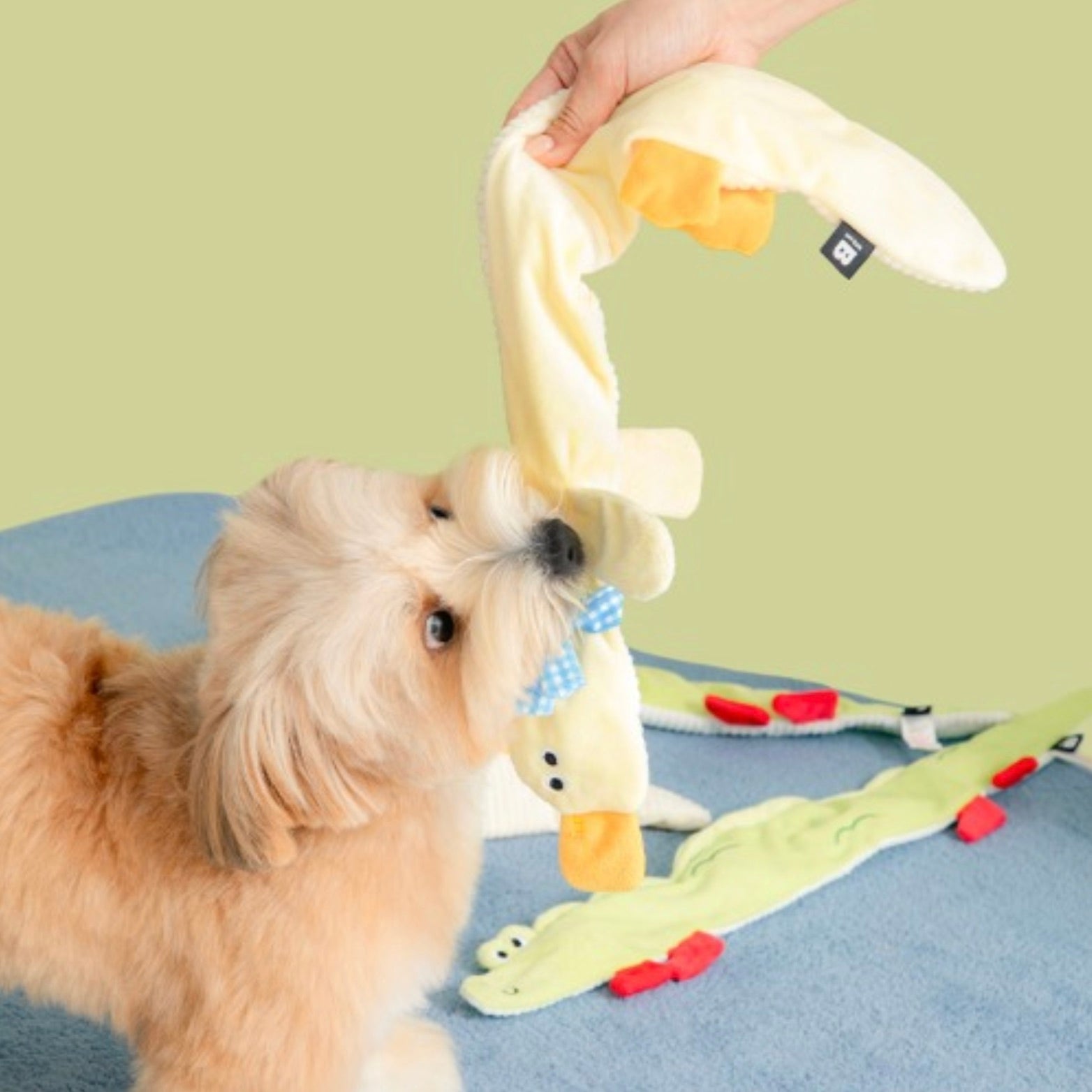 海外犬服 高品質なインポートのドッグウェア通販 