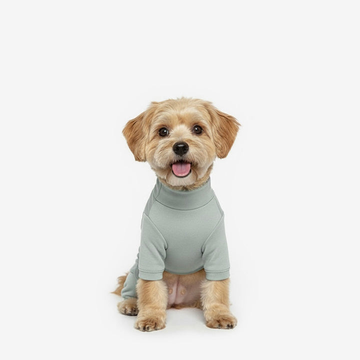 ※予約販売【TUSTUS】Basic solid all in one（Mint gray）