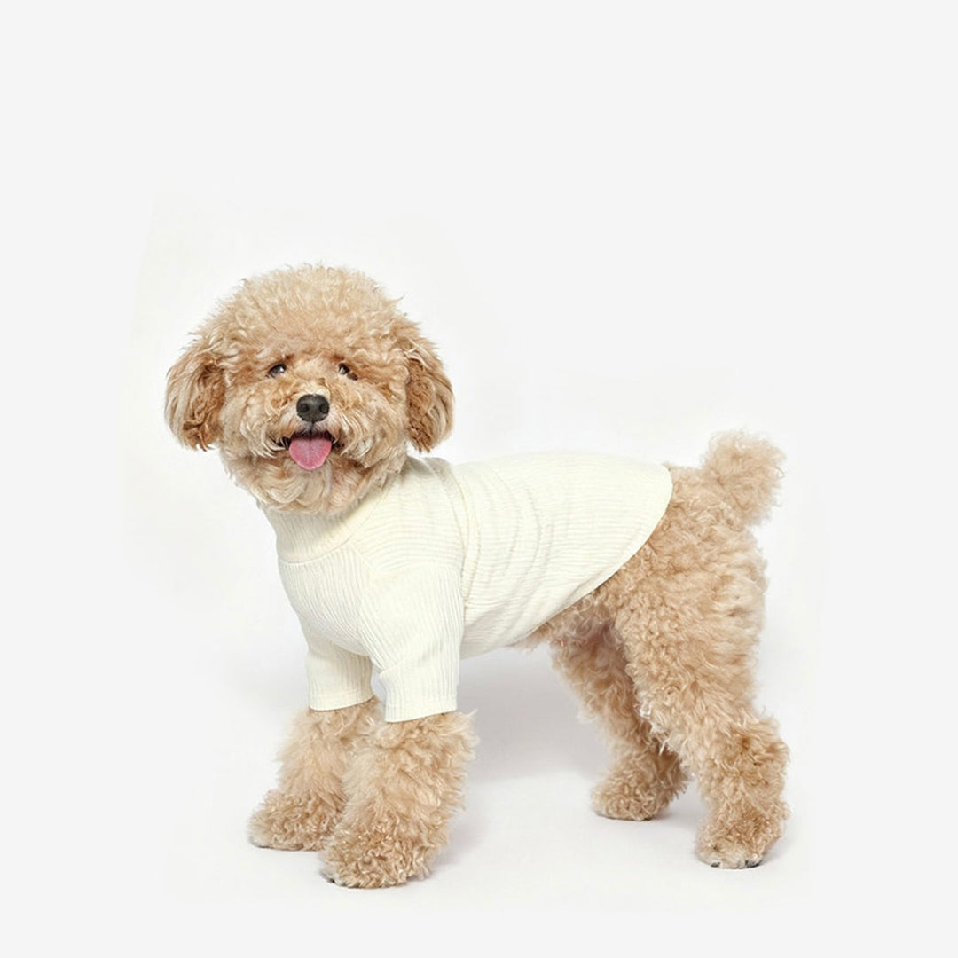 ※予約販売【TUSTUS】Soft neck（Ivory）