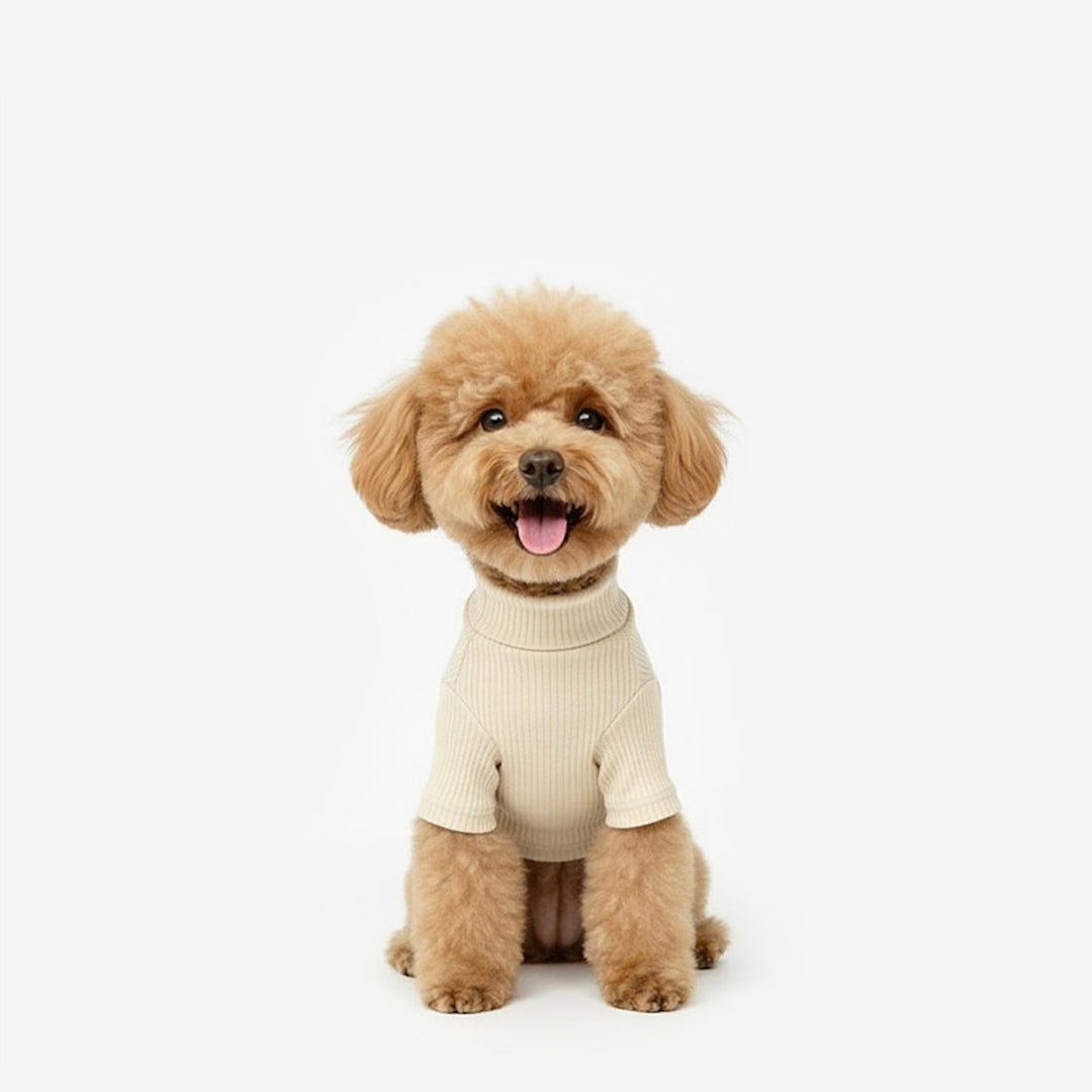 ※予約販売【TUSTUS】Soft neck（Beige）