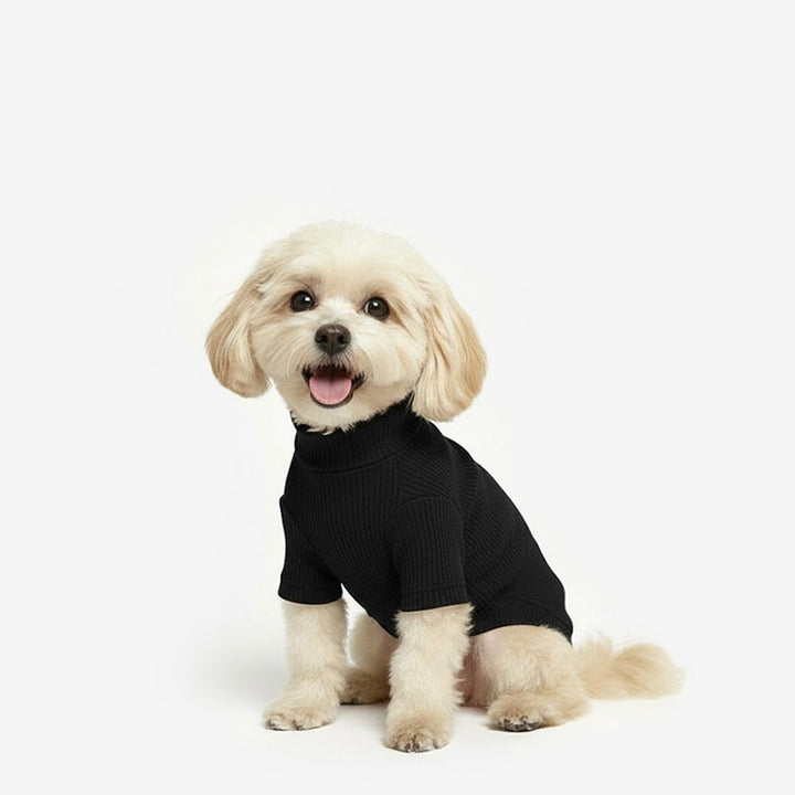 ※予約販売【TUSTUS】Soft neck（Black）