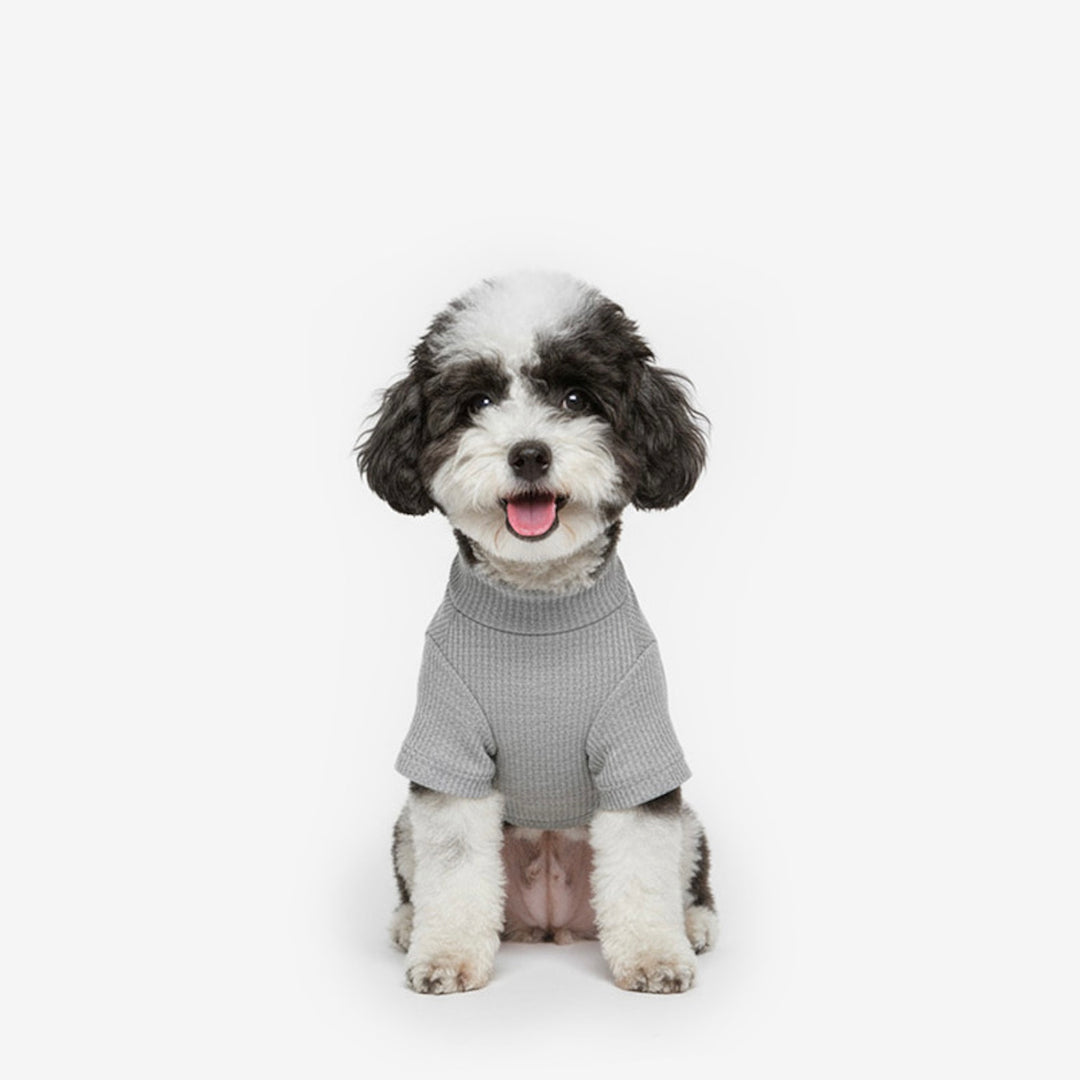 ※予約販売【TUSTUS】Soft neck（Gray）