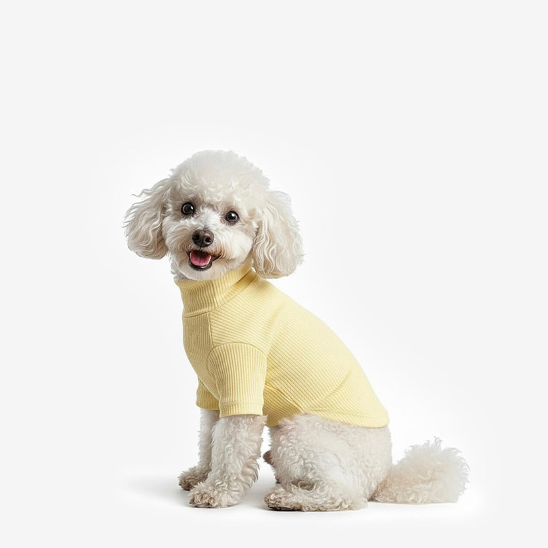 ※予約販売【TUSTUS】Soft neck（Yellow）