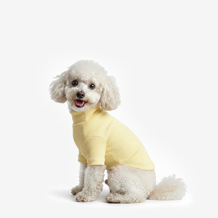 ※予約販売【TUSTUS】Soft neck（Yellow）