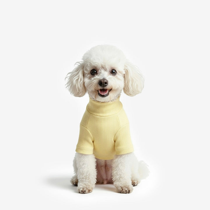 ※予約販売【TUSTUS】Soft neck（Yellow）