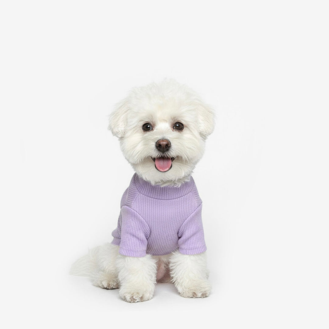 ※予約販売【TUSTUS】Soft neck（Violet）