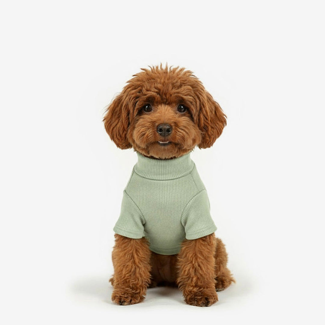 ※予約販売【TUSTUS】Soft neck（Khaki）